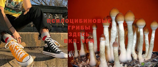2c-b Алзамай
