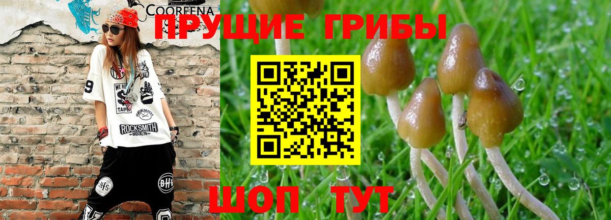 Галлюциногенные грибы Magic Shrooms Ливны