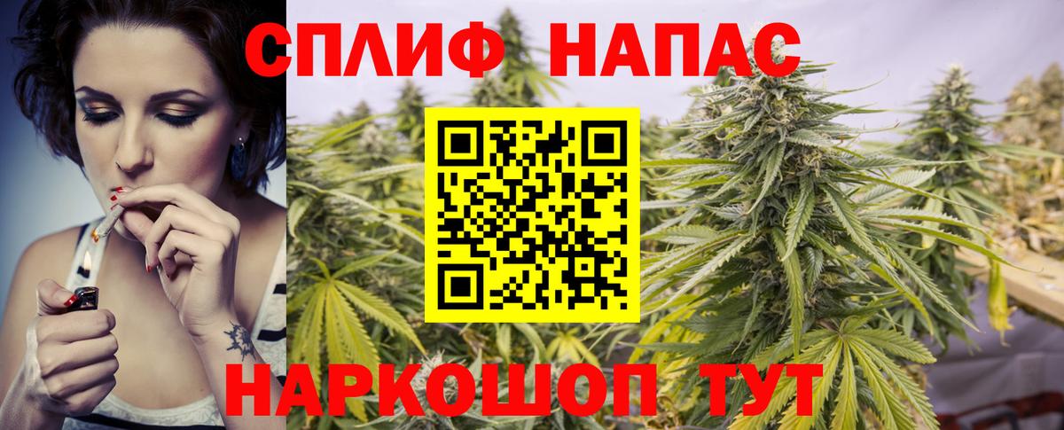Ливны  Шишки марихуана семена  МАРИХУАНА White Widow  Марихуана OG Kush  Вход с VPN  Каннабис ГИДРОПОН 